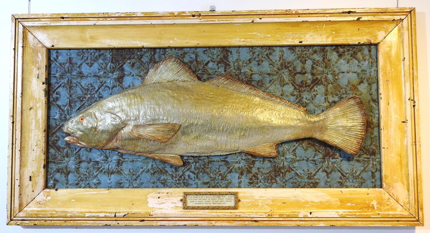 17. Mulloway Plaque - David Archer