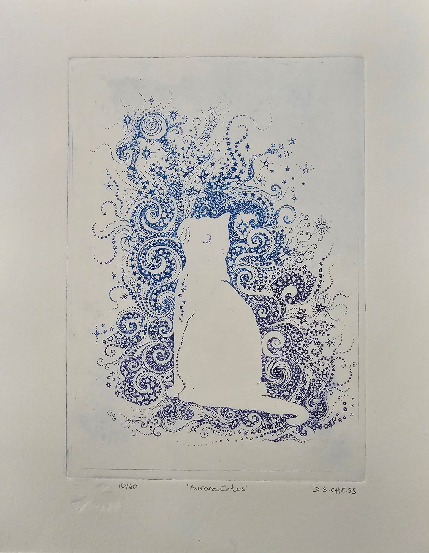 'Aurora Catus' Etching by Donna Chess