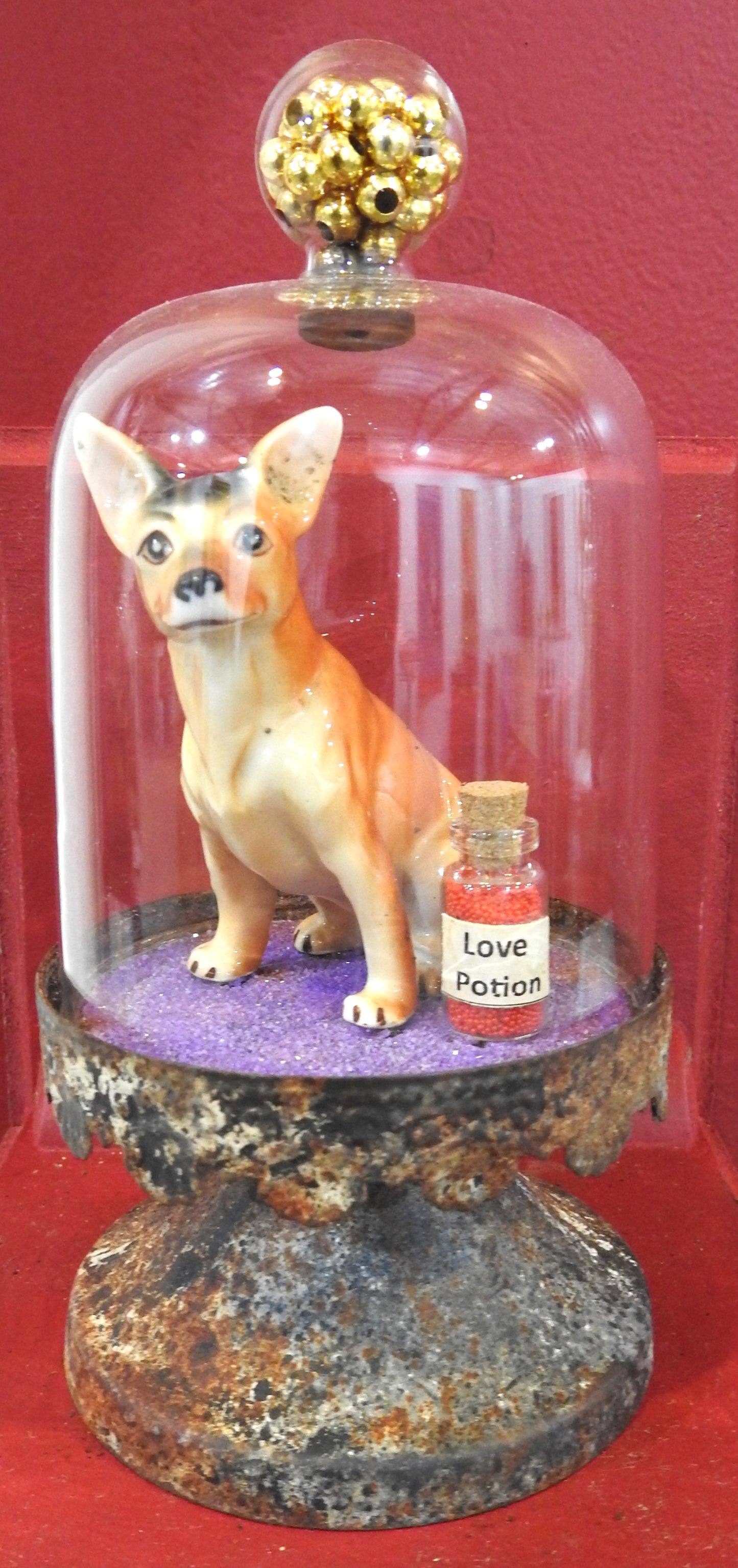 33. Chihuahua - David Archer