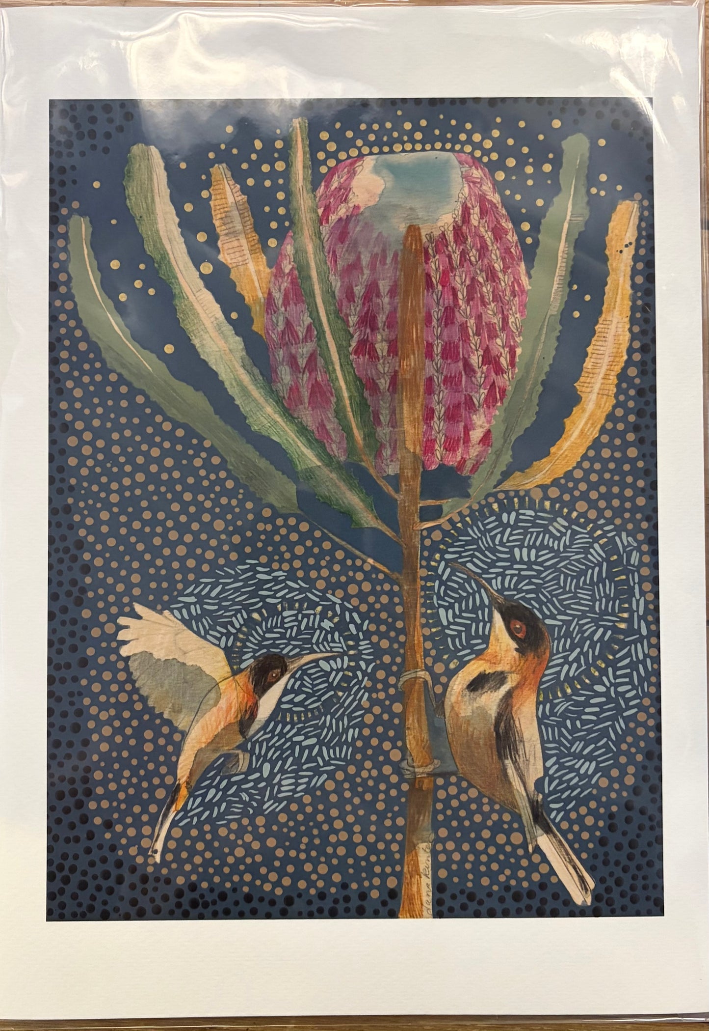 Dana Kinter - Eastern Spinebill and Banksia Menziesii Mini Print