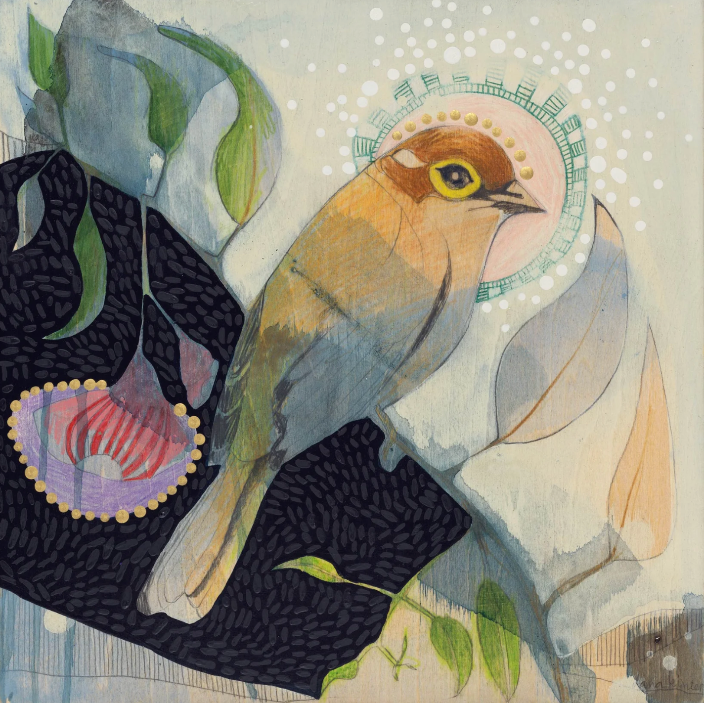 Brown Headed Honey Water Gilee mini print by Dana Kinter