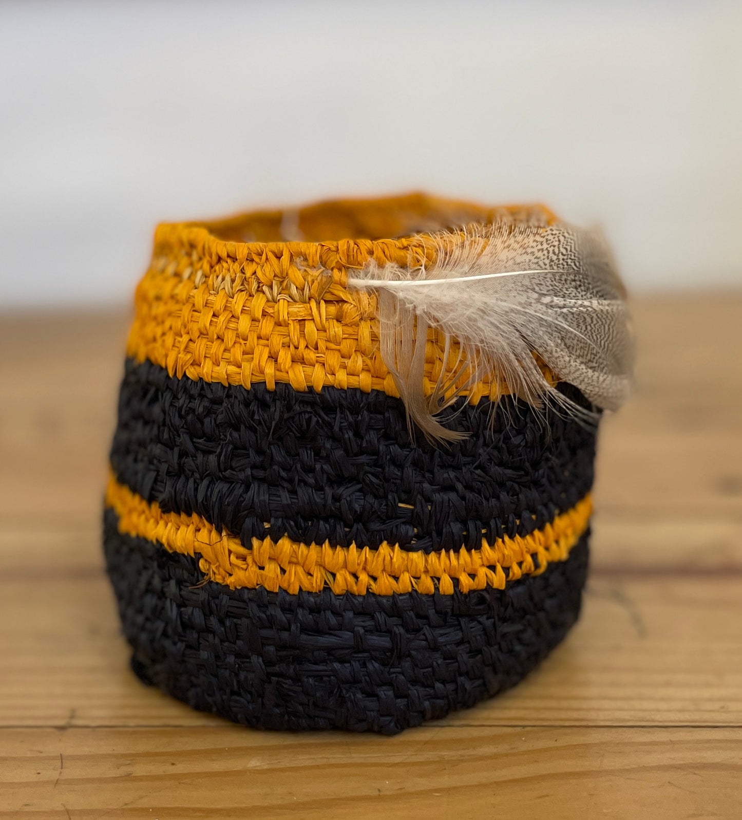 Dyed Raffia Basket + Feather