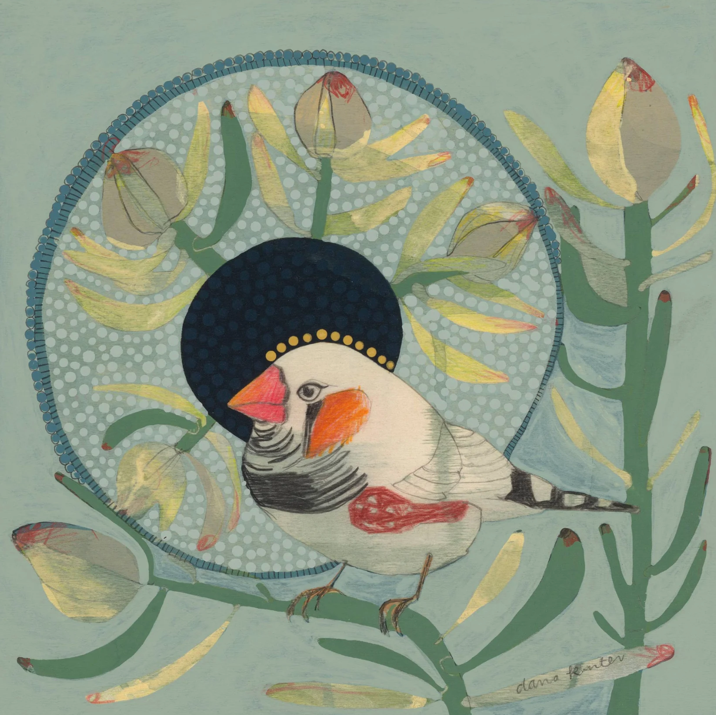 Dana Kinter -Zebra Finch and Leucadendron- Mini Prints