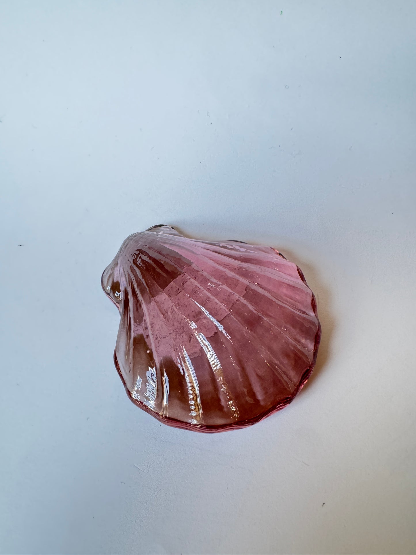 Small Glass Scallop by Caslake and Pedler