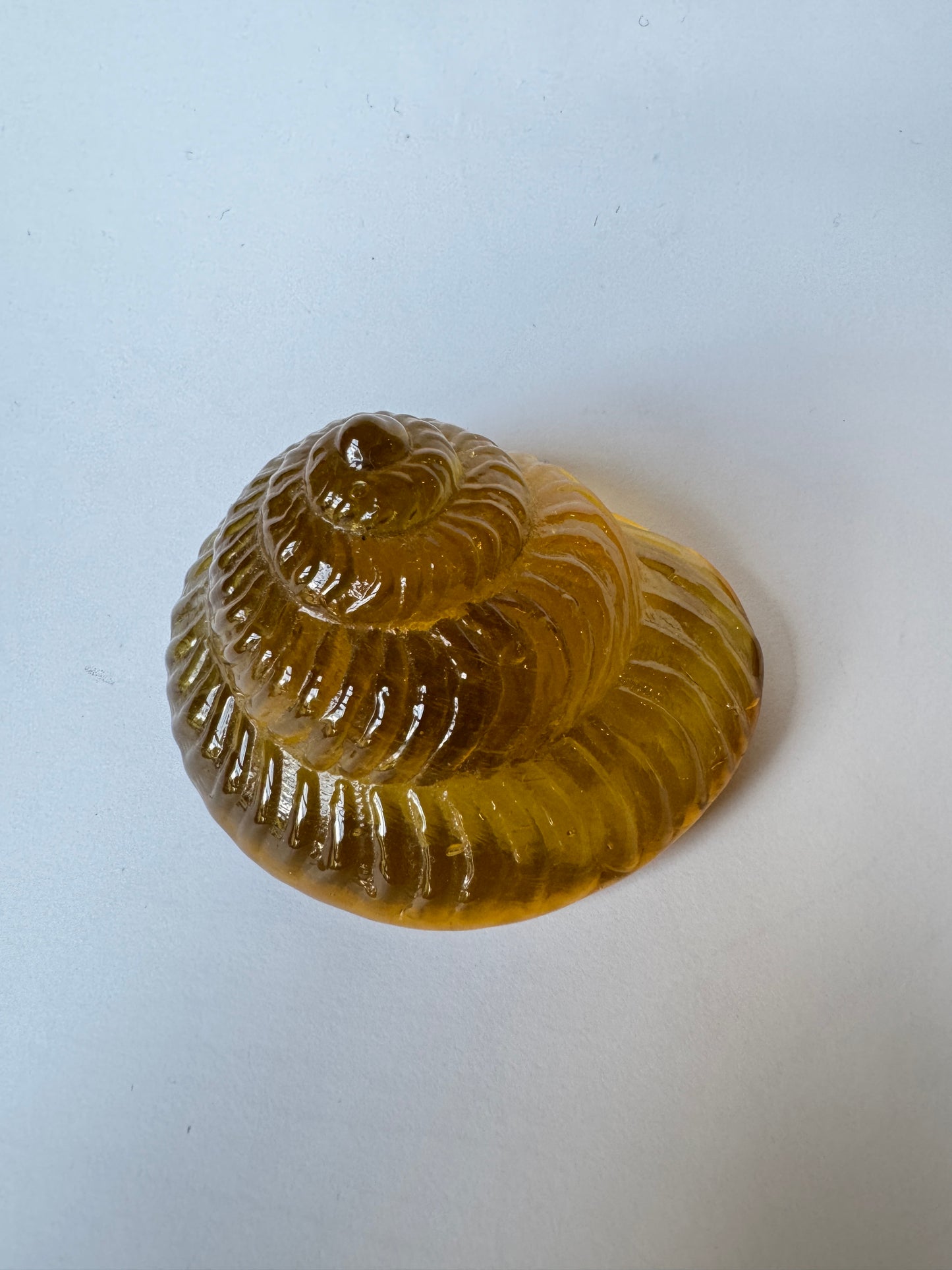 Small Glass Sea Snail Shell by Caslake and Pedler