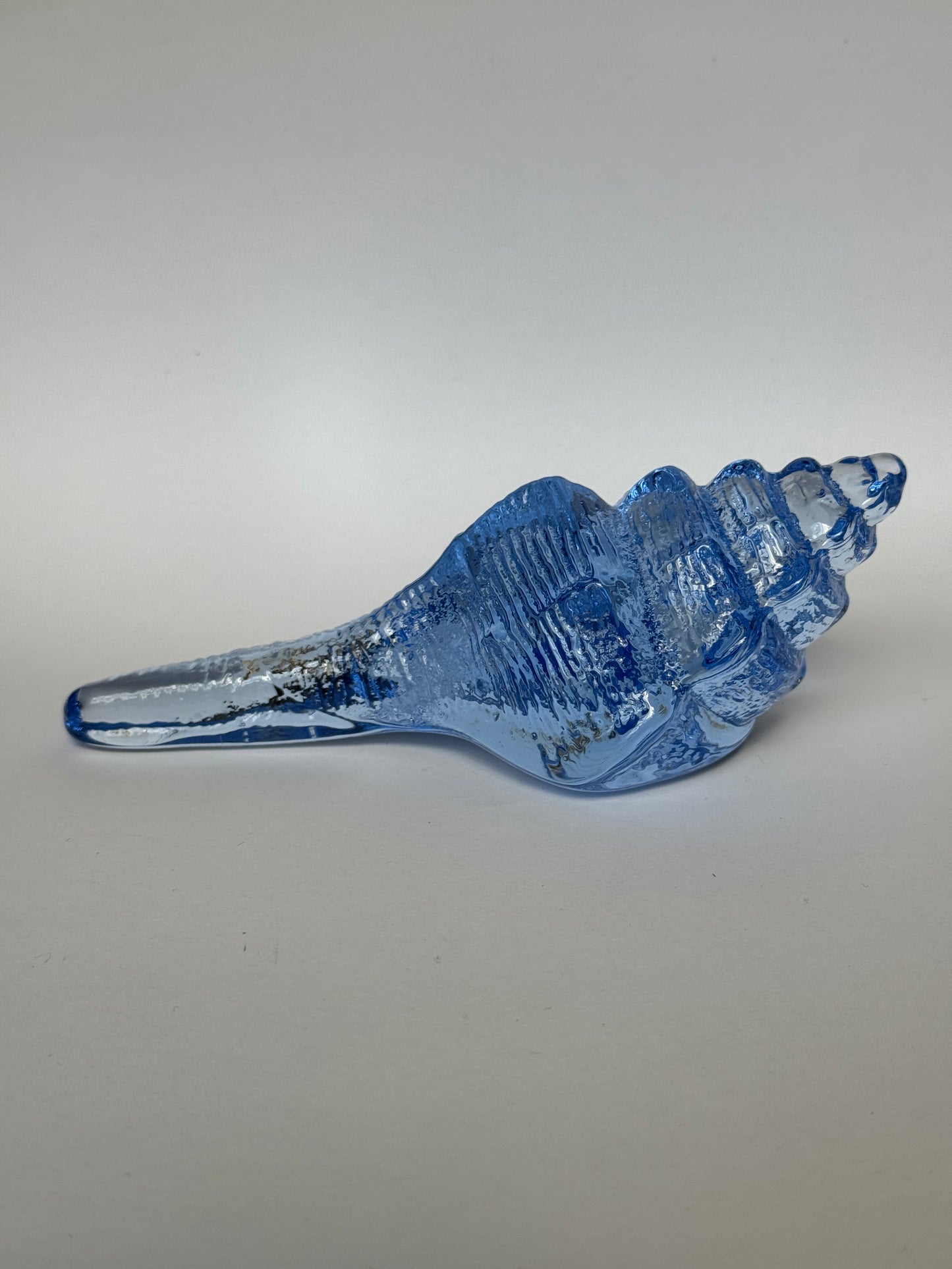 Large Glass Conch Shell by Caslake and Pedler