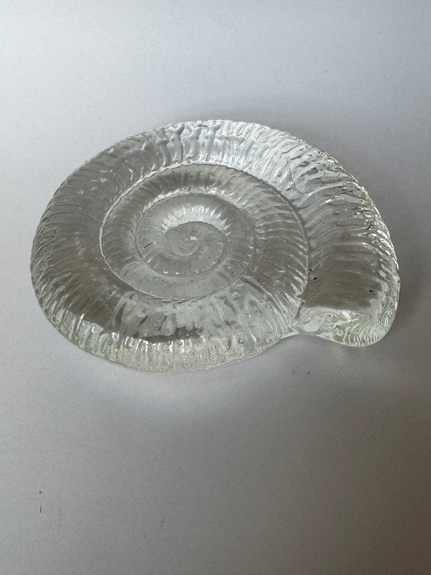 Glass Sea Fossil by Caslake and Pedler