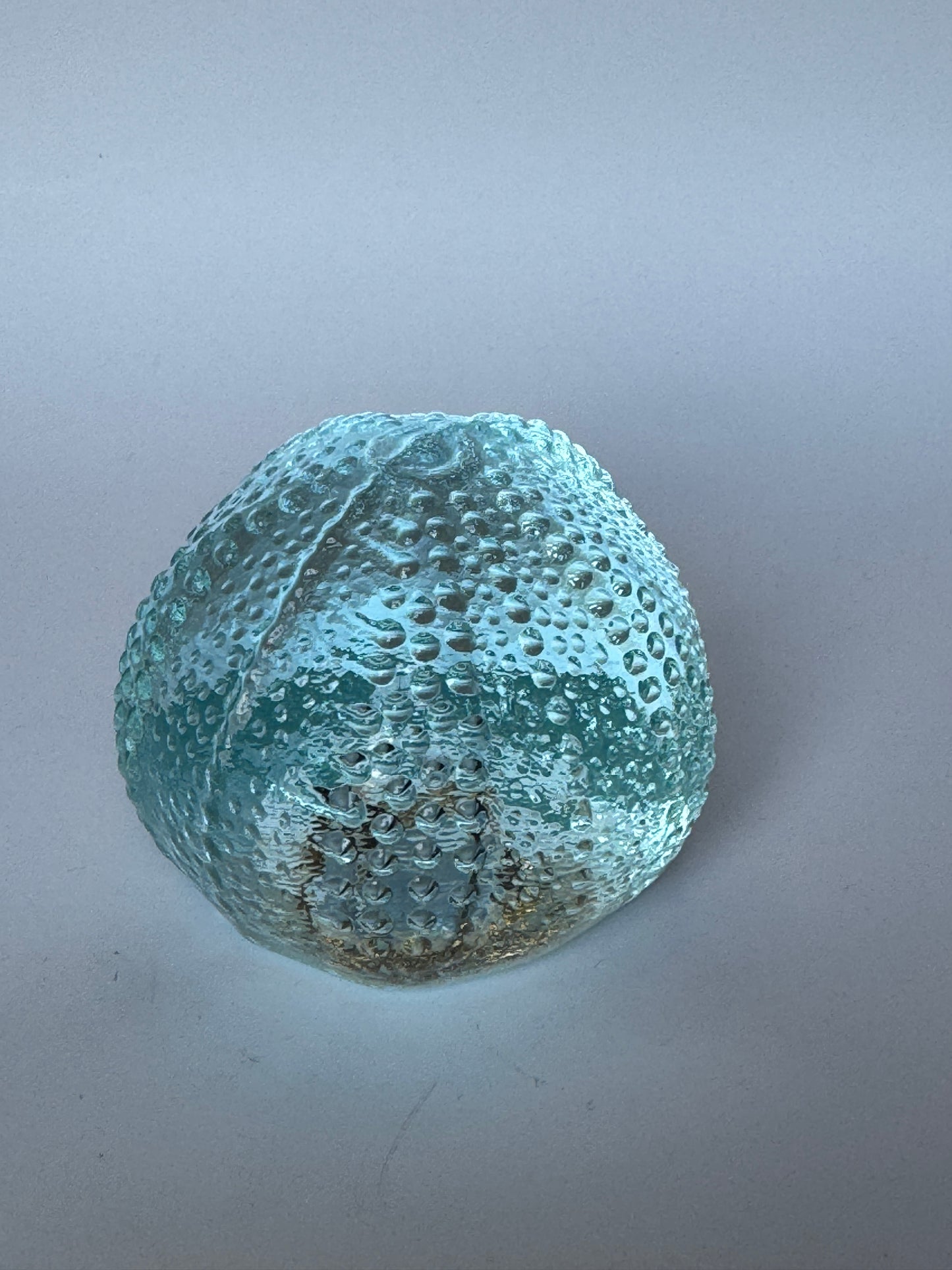 Large Glass Sea Urchins by Caslake and Pedler