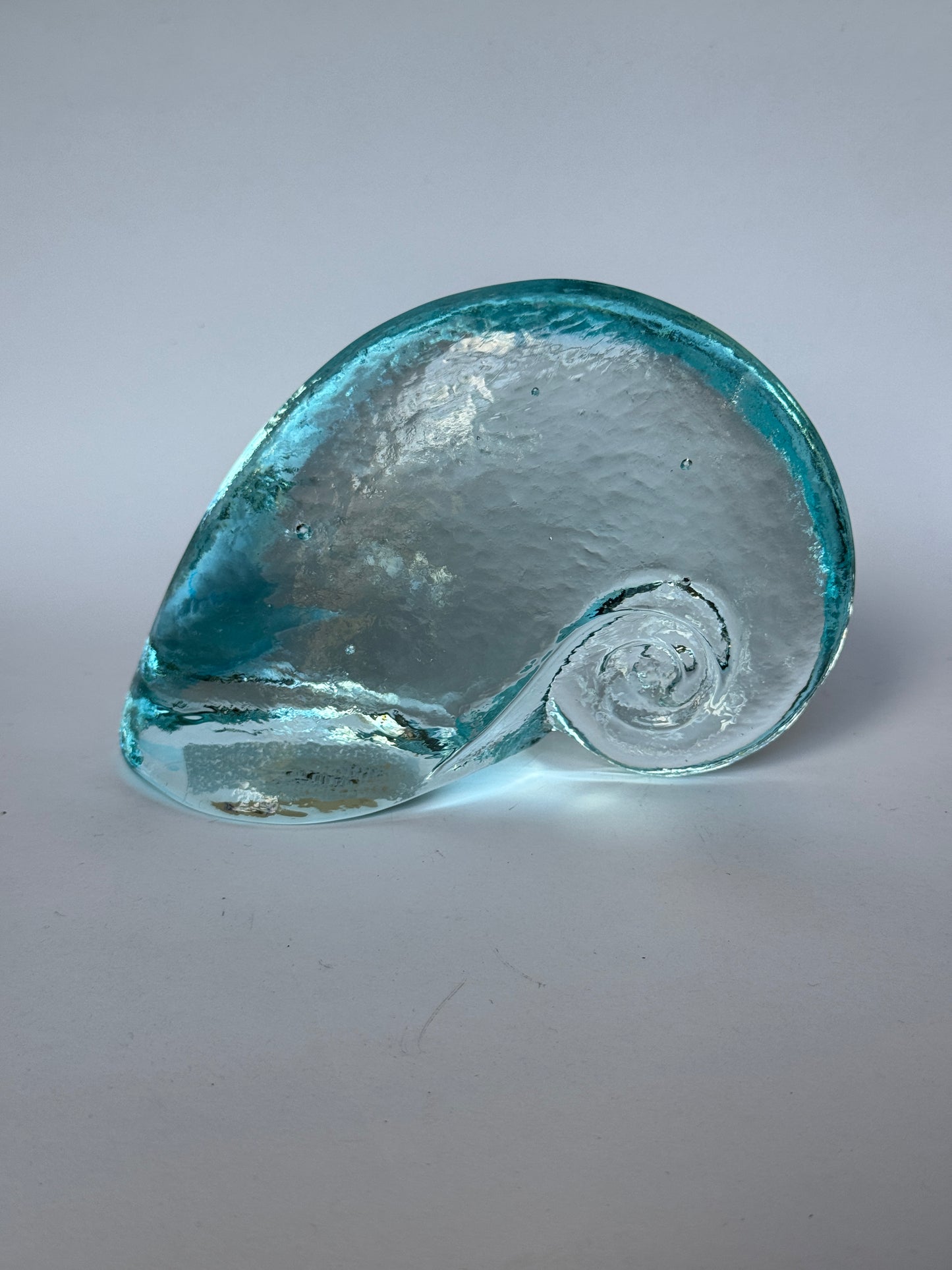 Glass Nautilus Shells by Caslake and Pedler