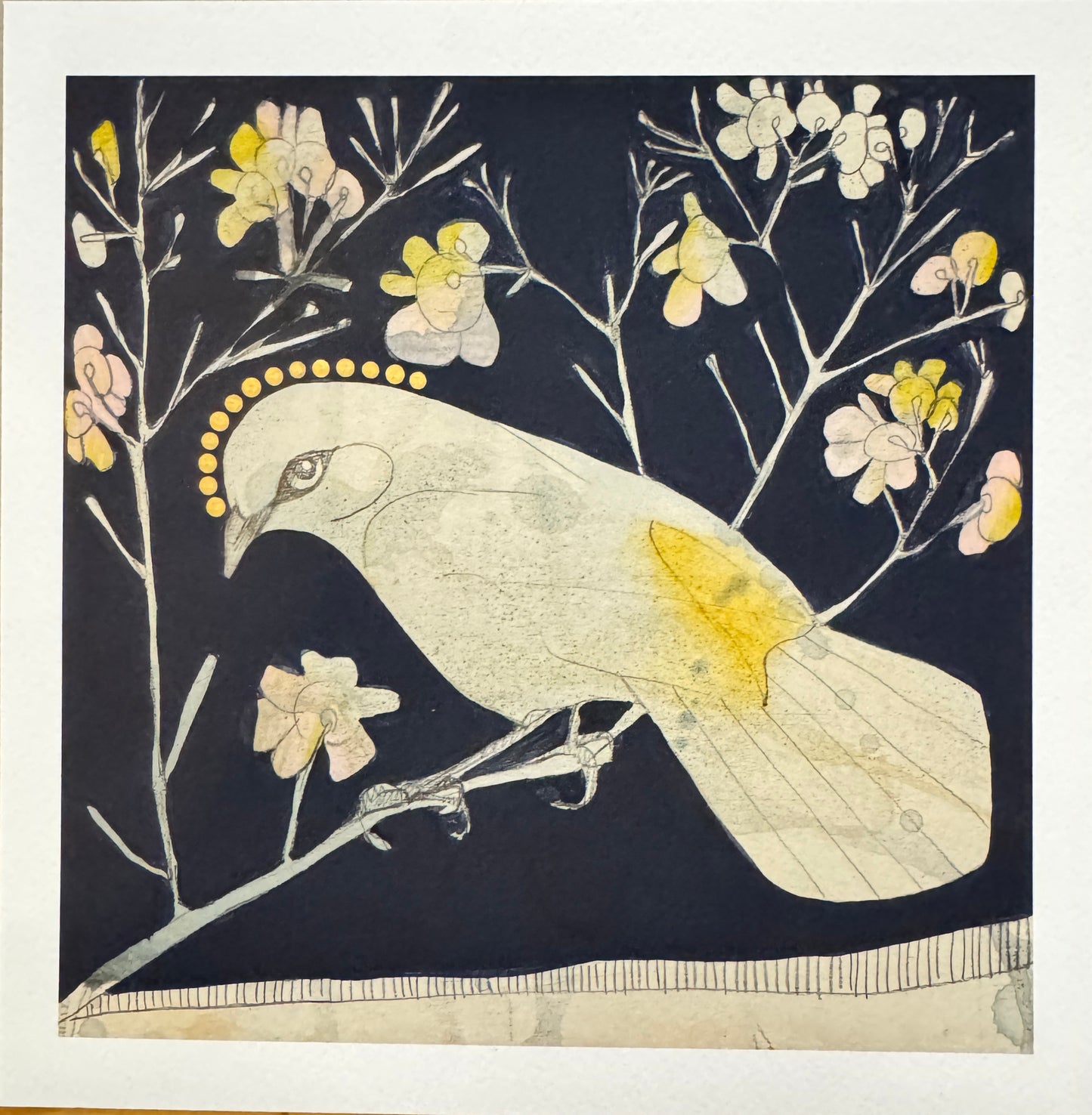 Thornbill and Geraldton Wax Mini Print by Dana Kinter
