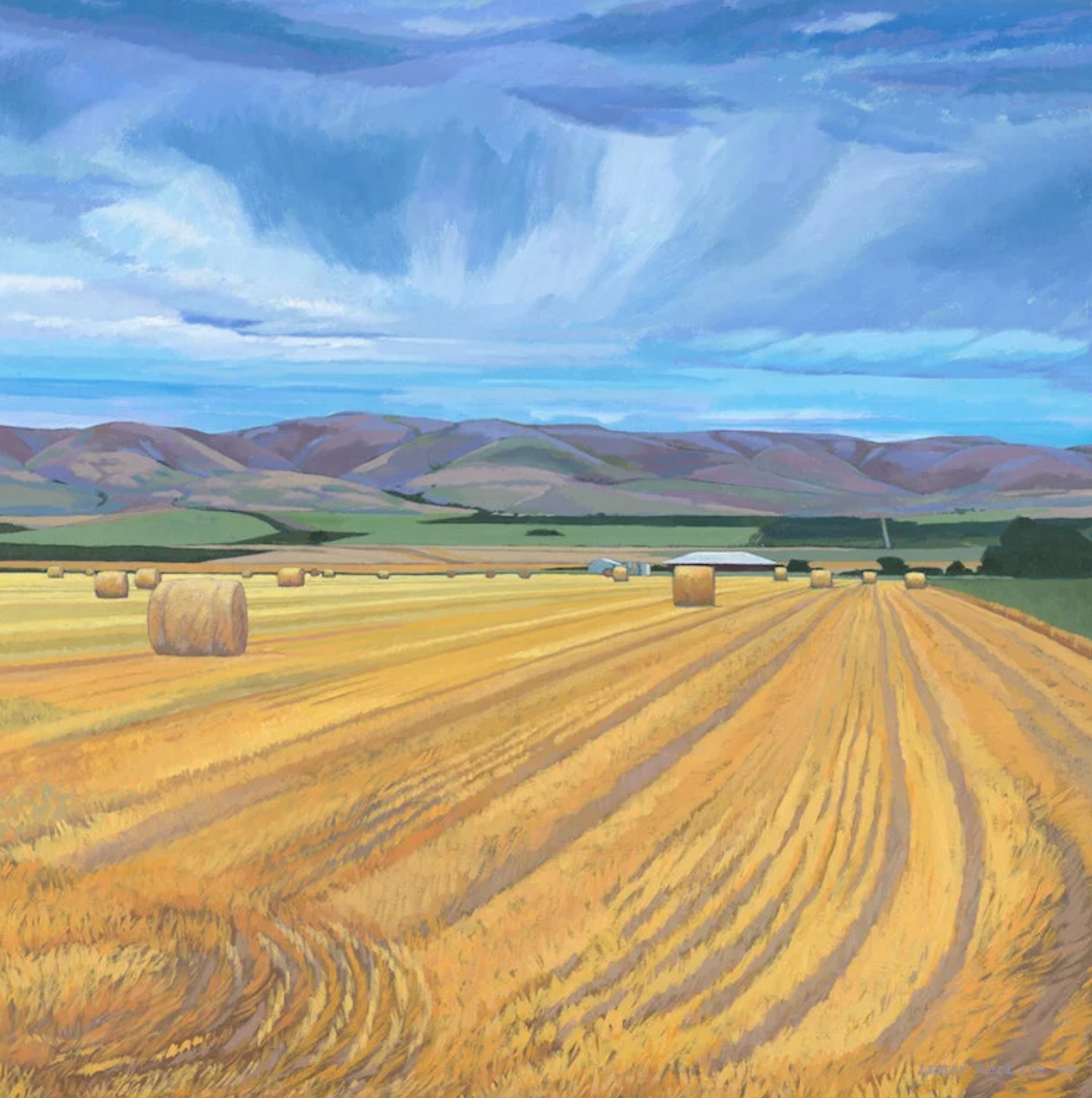 'Haybales' Print by Lesley Redgate