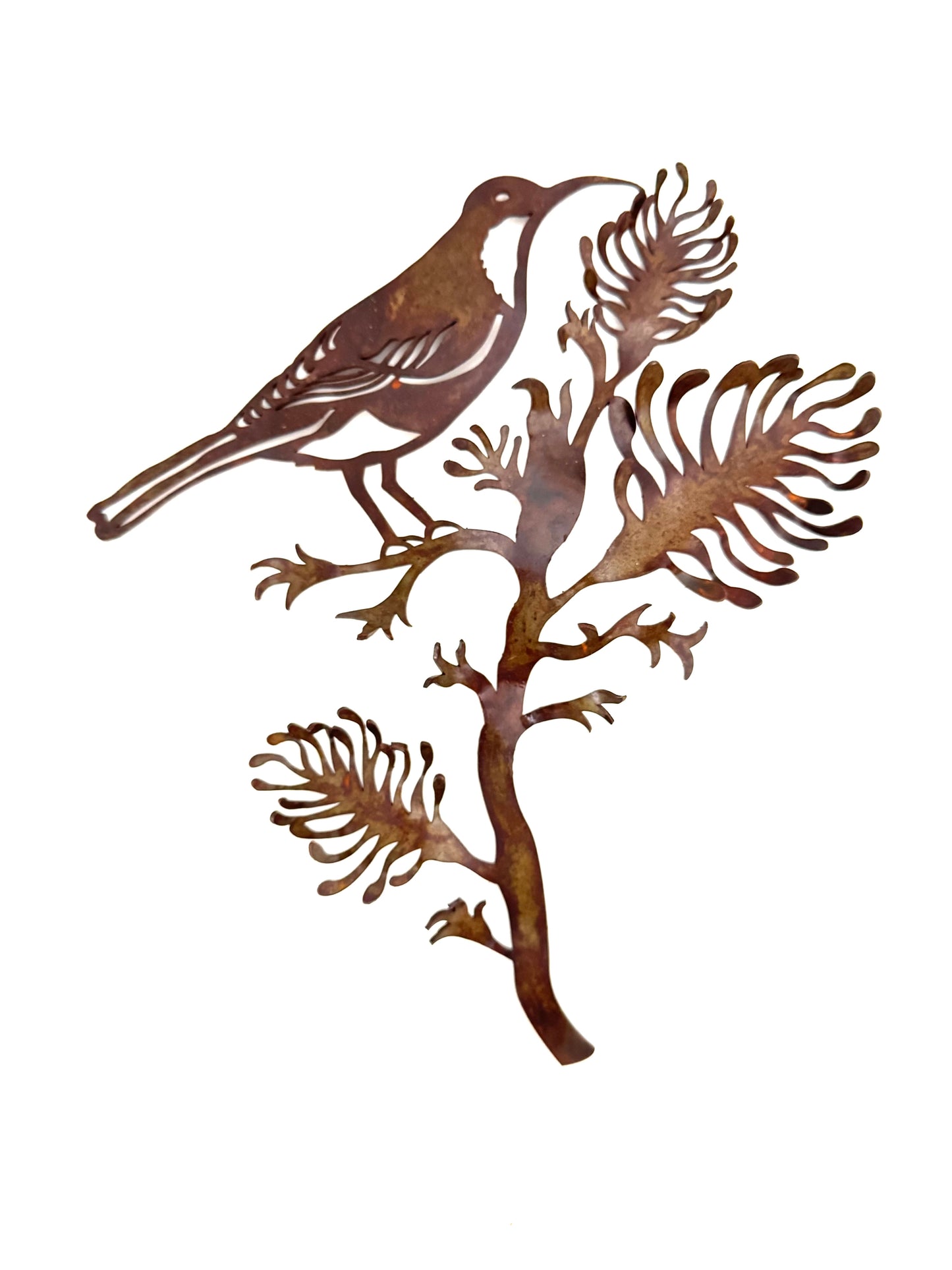 Wall Art - Grevillea and Spinebill by A Small Art Factory