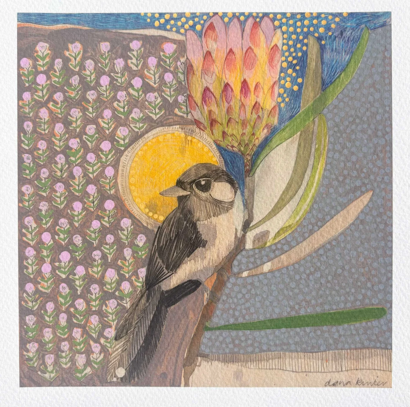 Dana Kinter -Willie wagtail and protea - Mini Prints
