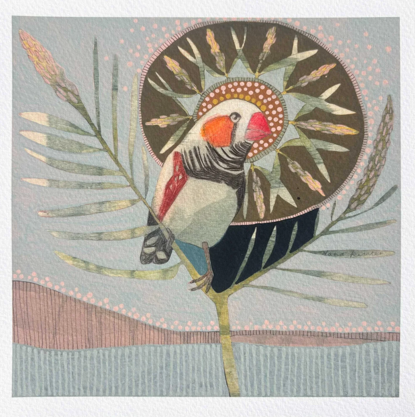 Dana Kinter - zebra finch and bottle brush - Mini Prints