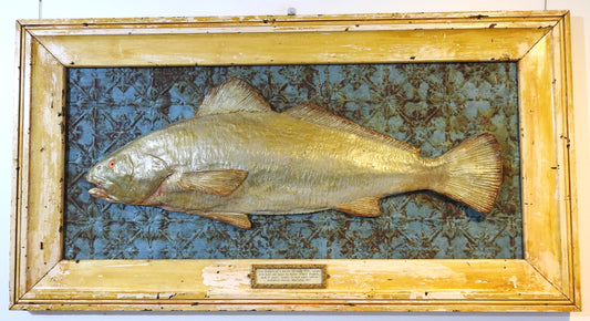 17. Mulloway Plaque - David Archer
