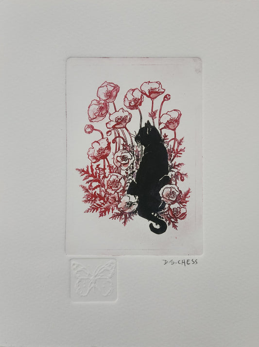 'Poppy Cat' Etching by Donna Chess