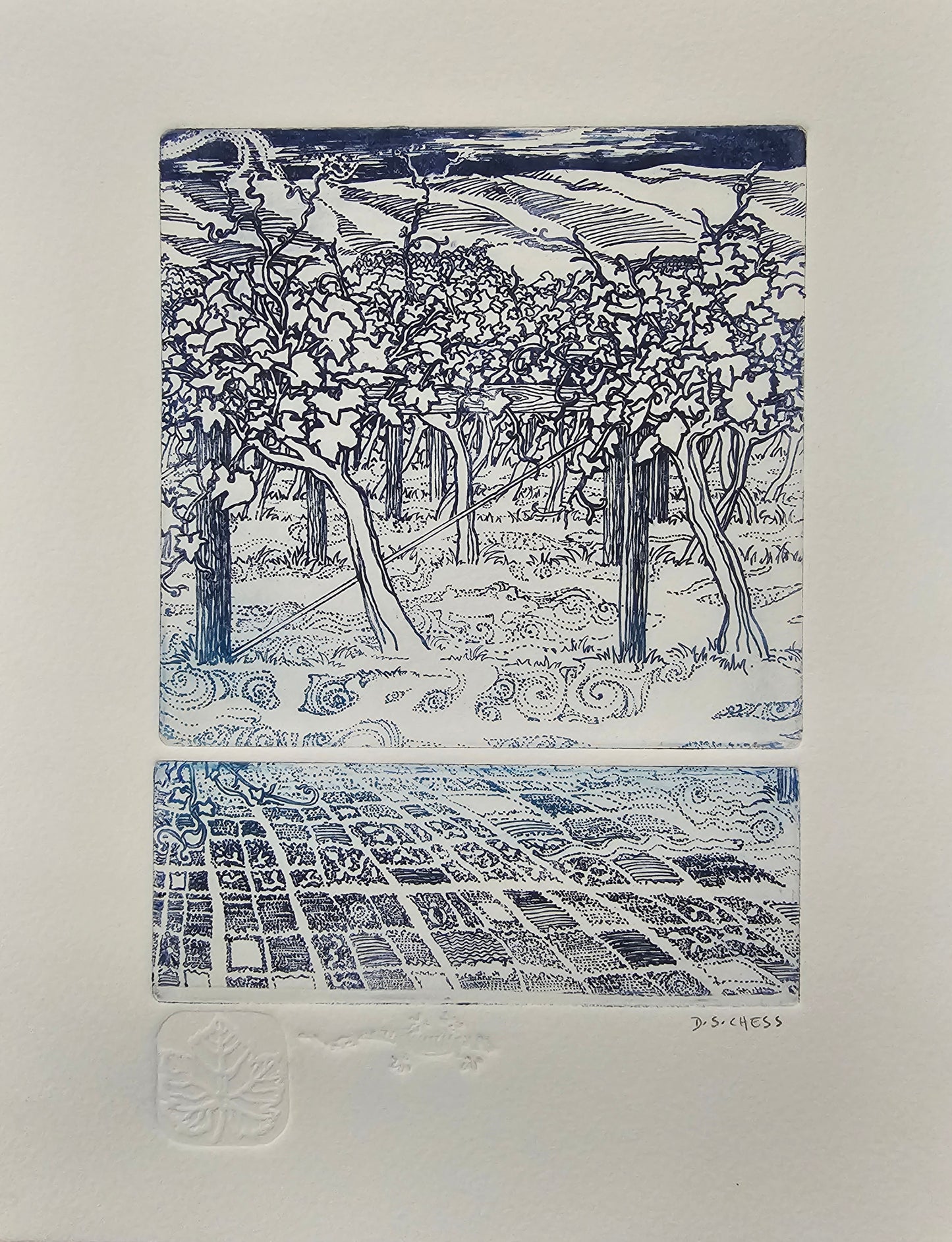 'Vineyard Blues'  Etching by Donna Chess