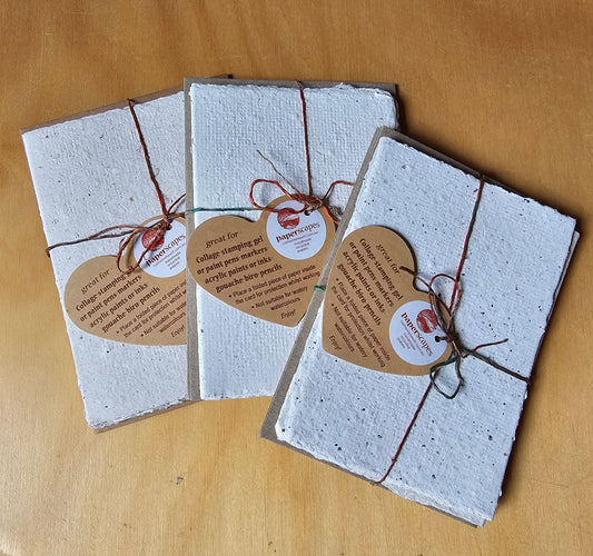 Handmade Card and Envelope Pack by Papescapes