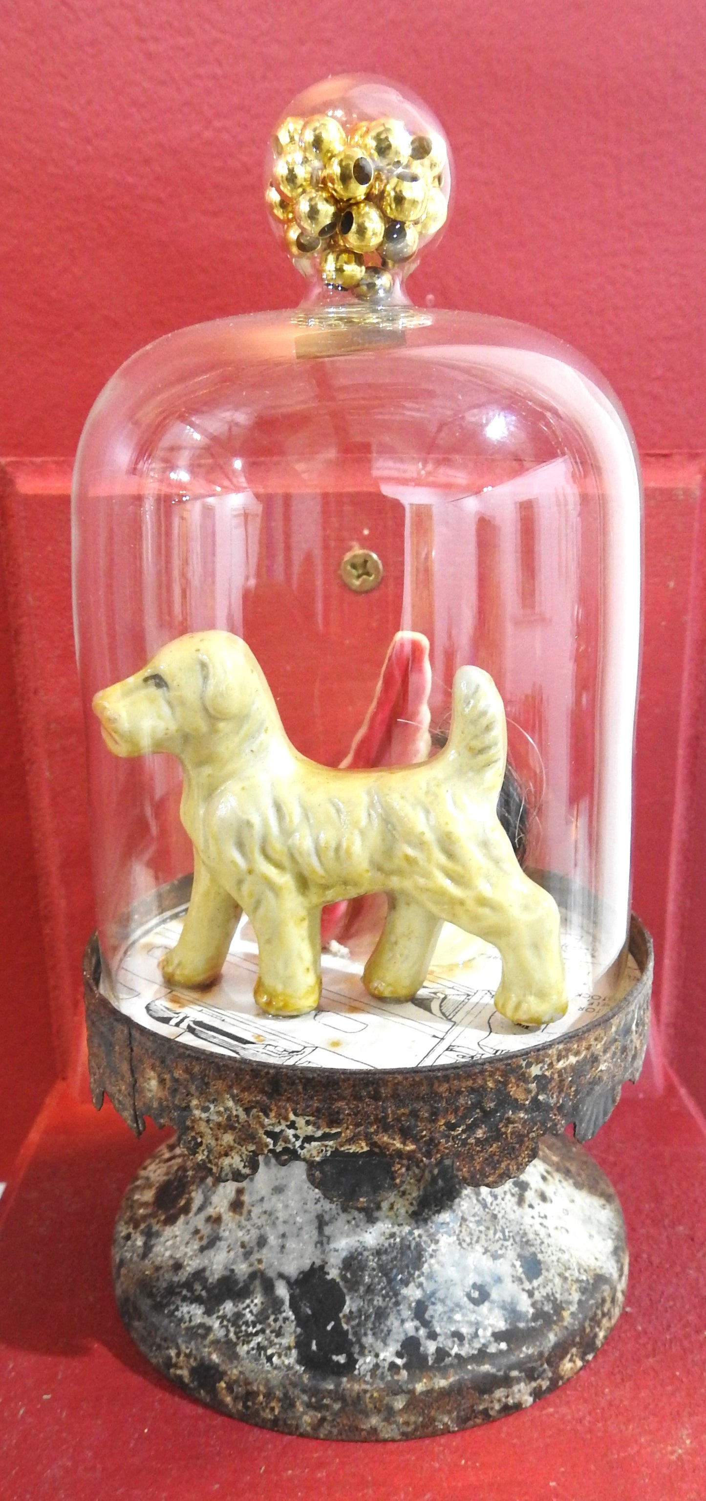 45.  Dog With Shell Hair - David Archer