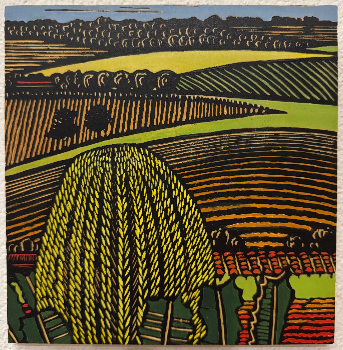 Wood Cut Vale Banksias - Gail Kellett