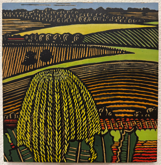 Wood Cut Vale Banksias - Gail Kellett