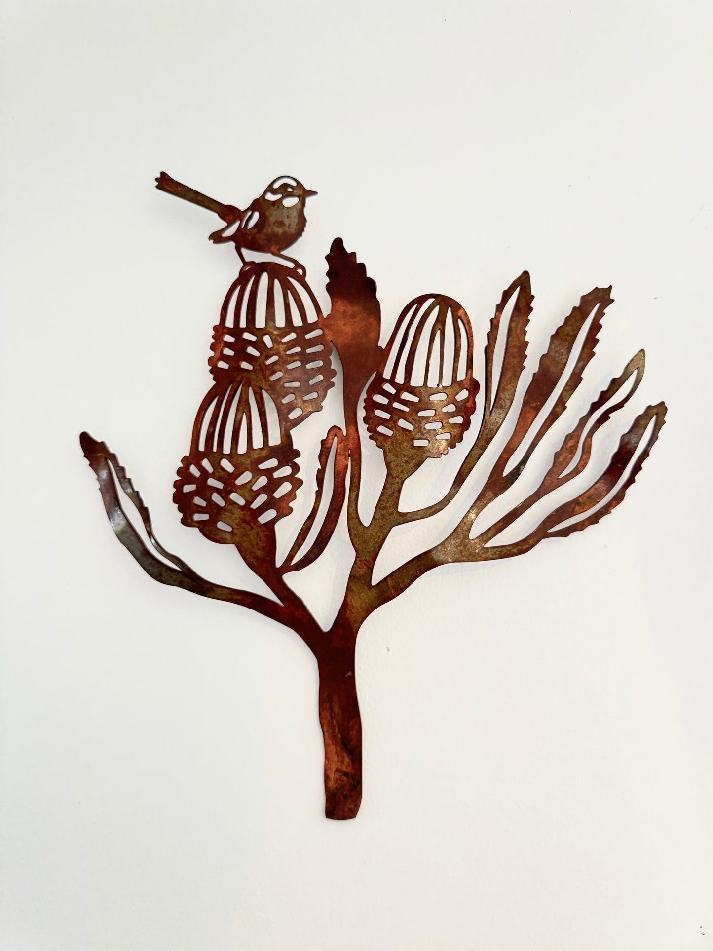 Wall Art - Banksia with Wren by A Small Art Factory