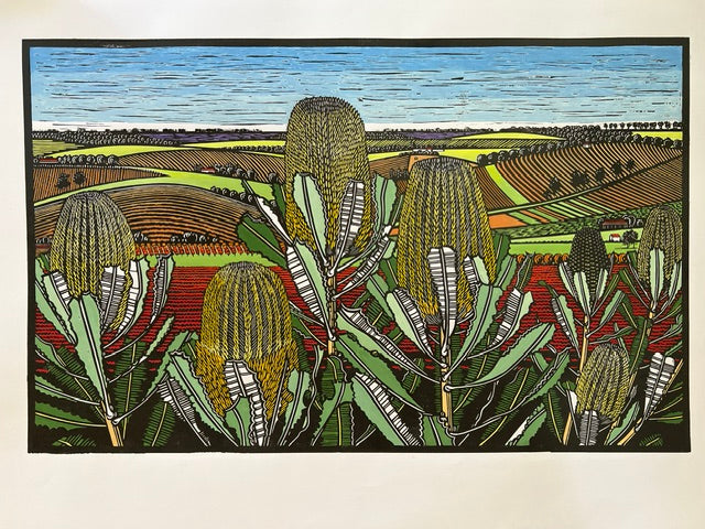 Banksias Across The Vale by Gail Kellett