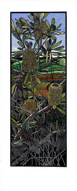 Banksias In Autumn by Gail Kellett