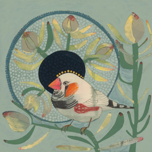 Dana Kinter -Zebra Finch and  Leucadendron- Mini Prints