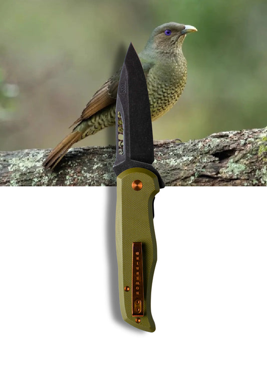 'Bek' The Bowerbird Pocket Knife