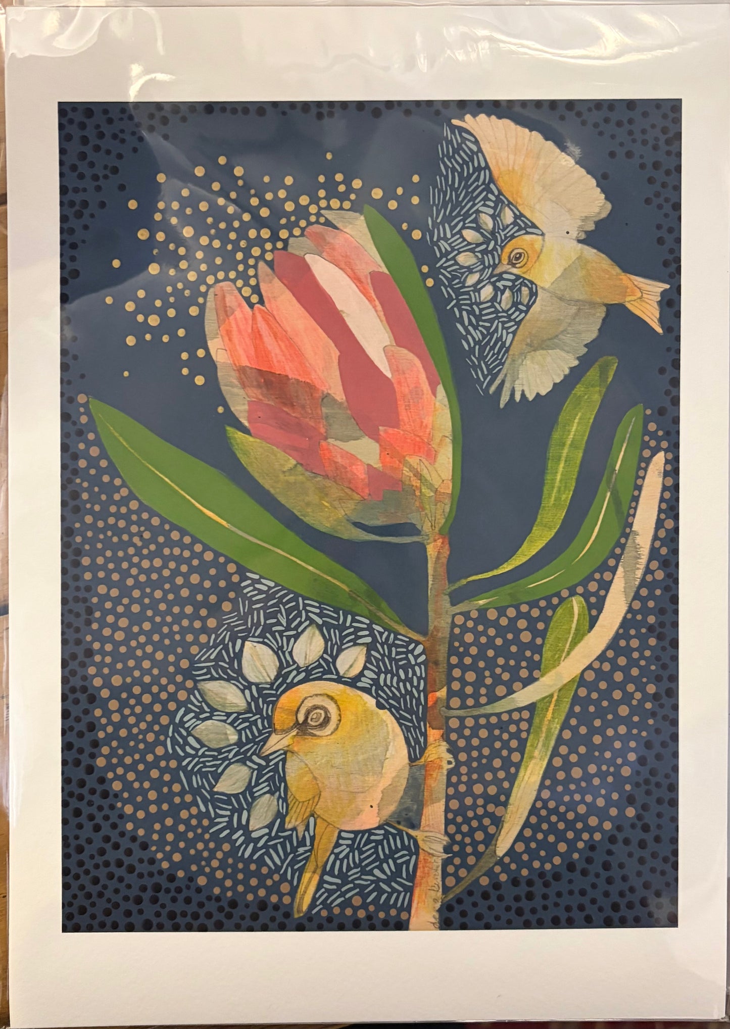 Dana Kinter - Silvereye and Pink Ice Protea Mini Print