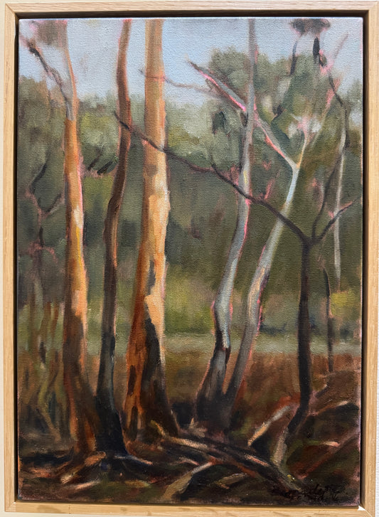 Bushwalk by Bernadette Woodward