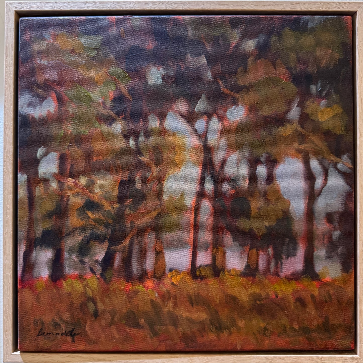 Backlit by Bernadette Woodward
