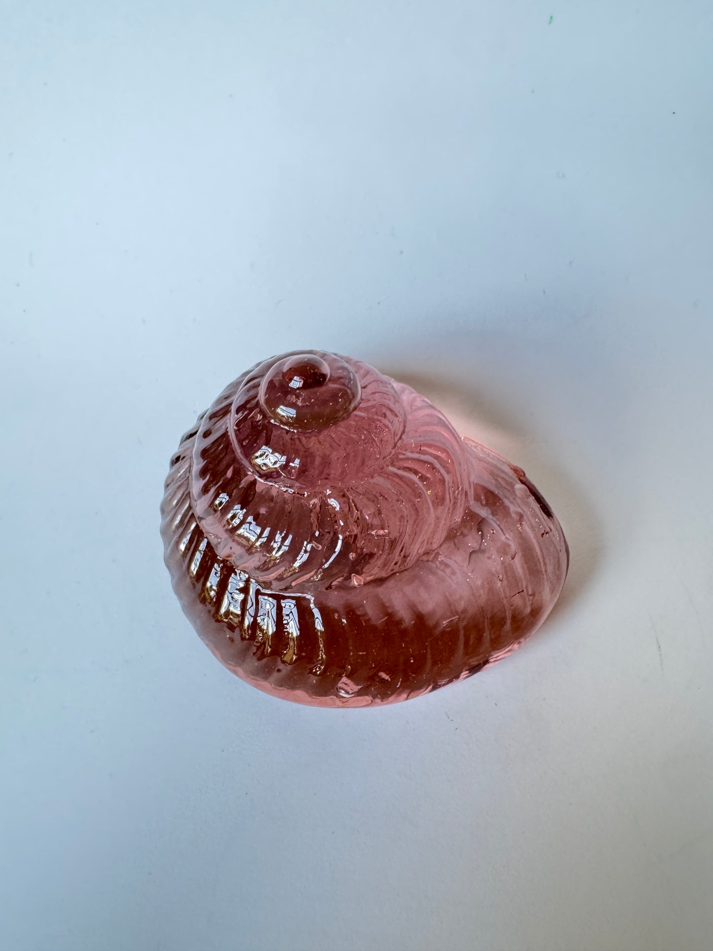 Small Glass Sea Snail Shell by Caslake and Pedler