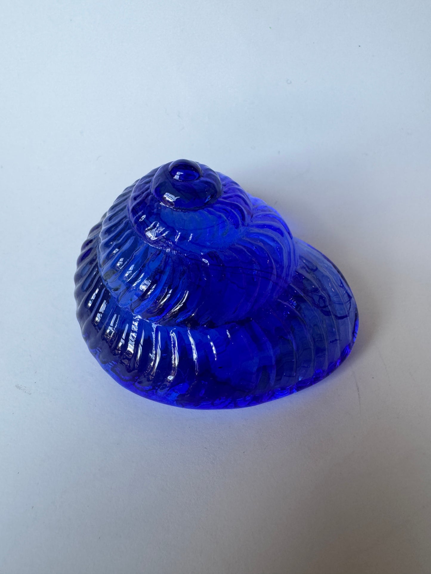 Small Glass Sea Snail Shell by Caslake and Pedler