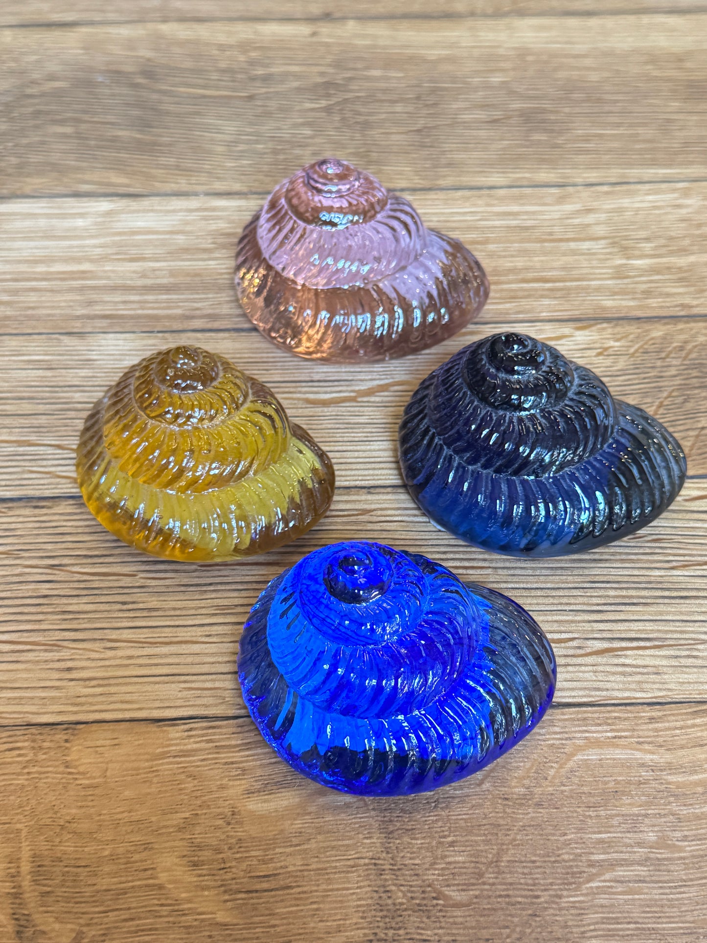 Small Glass Sea Snail Shell by Caslake and Pedler