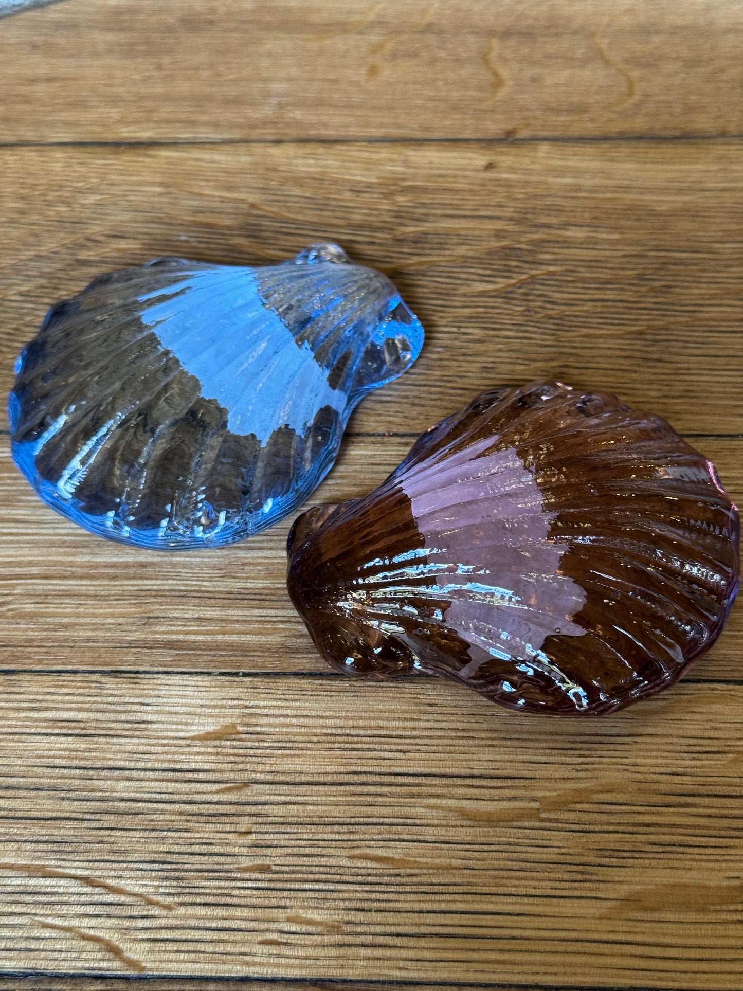 Small Glass Scallop by Caslake and Pedler