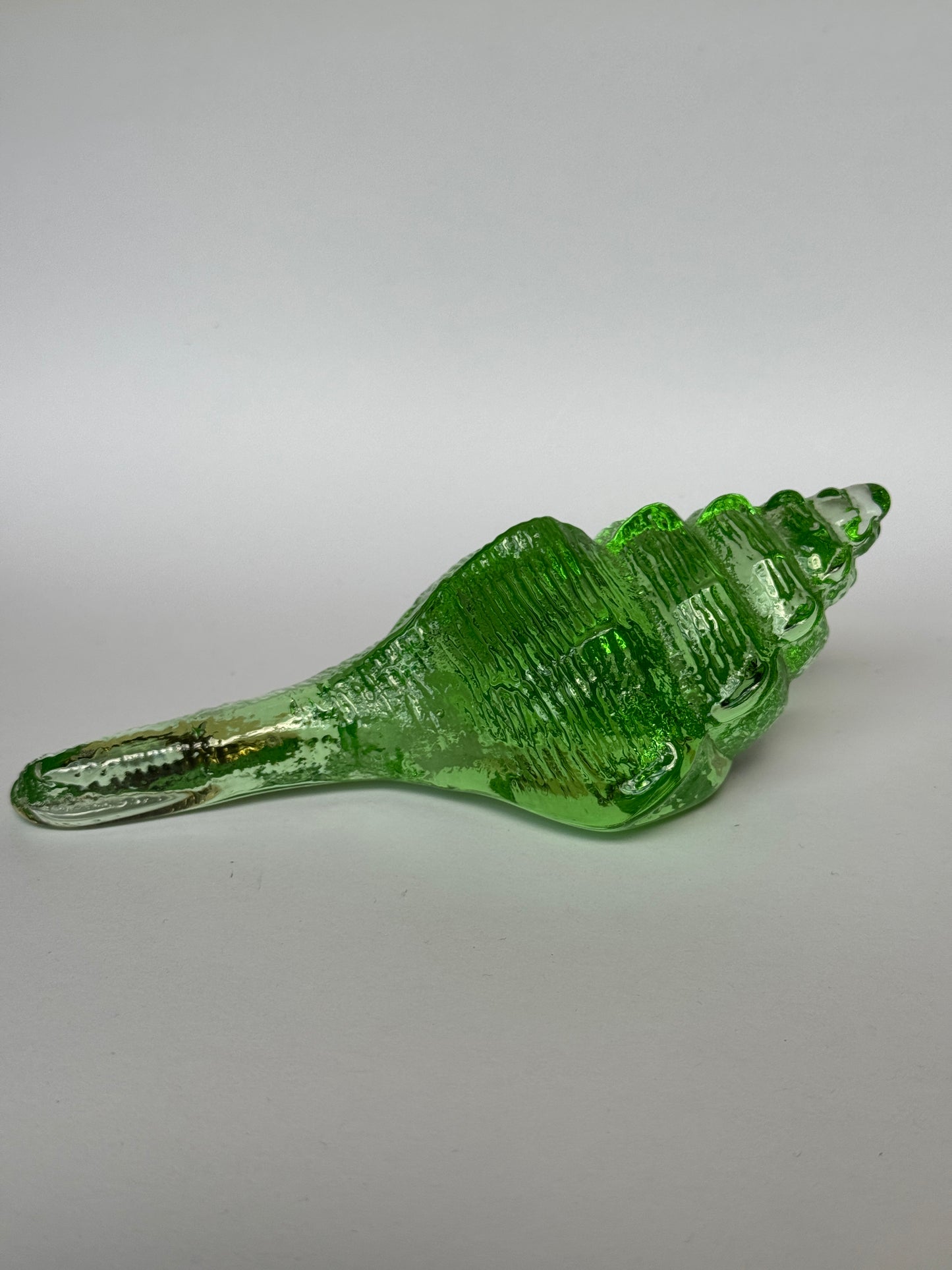 Large Glass Conch Shell by Caslake and Pedler