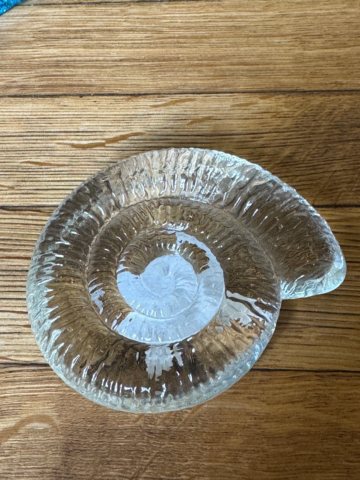 Glass Sea Fossil by Caslake and Pedler