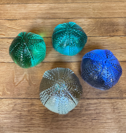 Large Glass Sea Urchins by Caslake and Pedler
