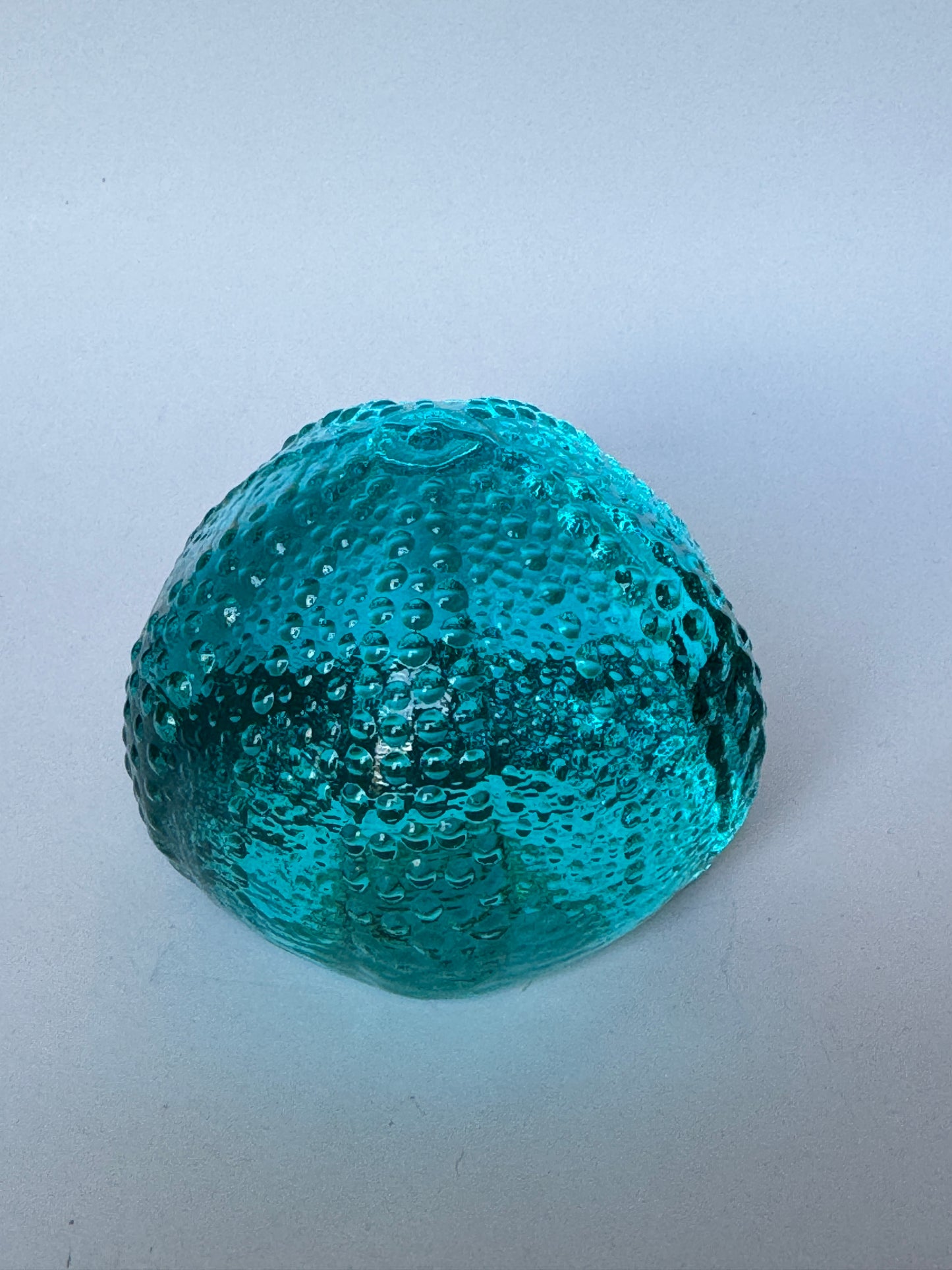 Large Glass Sea Urchins by Caslake and Pedler