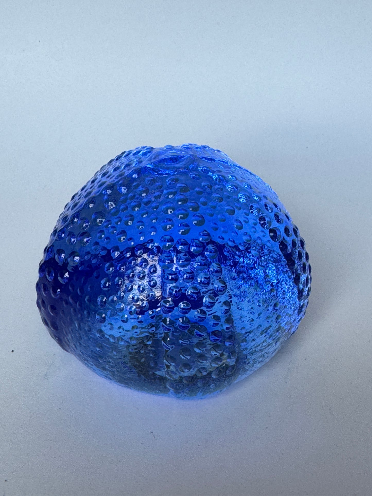 Large Glass Sea Urchins by Caslake and Pedler