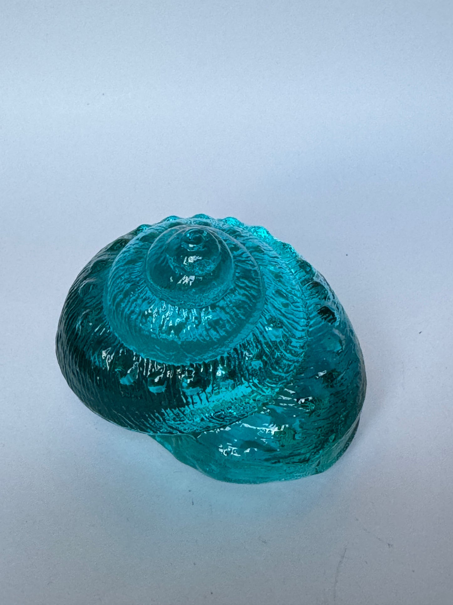 Large Glass Sea Snail Shell by Caslake and Pedler