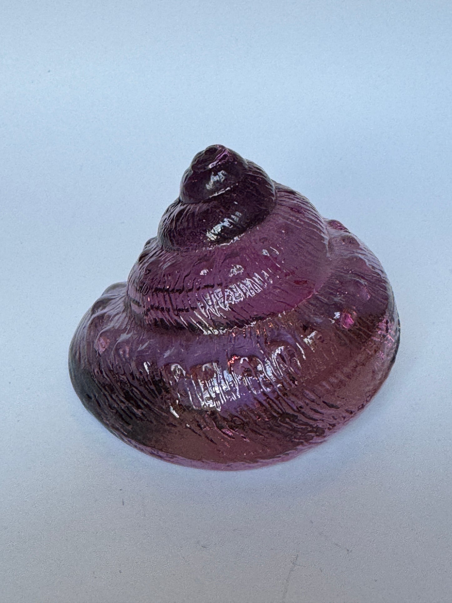 Large Glass Sea Snail Shell by Caslake and Pedler