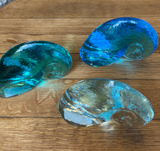 Glass Nautilus Shells by Caslake and Pedler