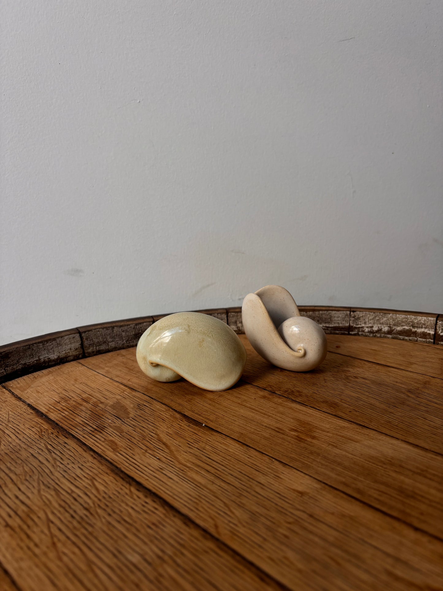 Mieke Ceramics - Small Nautilus Shells