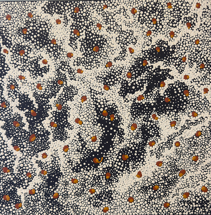 Quandong Country by Fist Nations Artist Jonas Dare