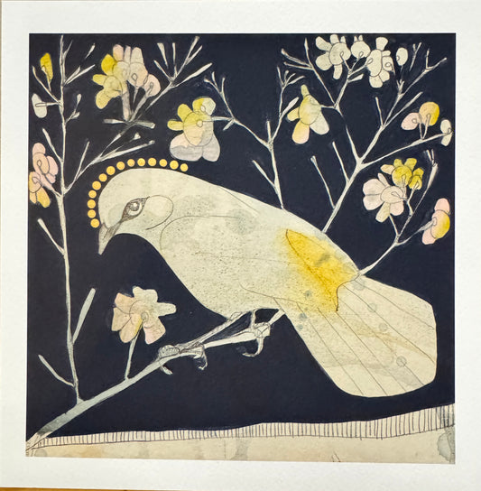 Thornbill and Geraldton Wax Mini Print by Dana Kinter