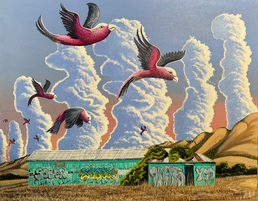 Sober Galahs by Brian O'Malley