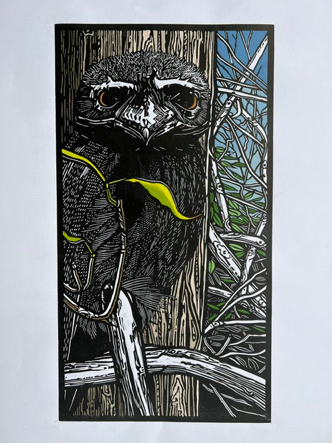 Tawny by Gail Kellett